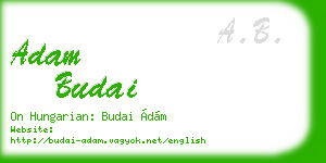 adam budai business card