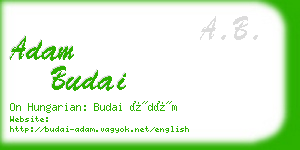 adam budai business card